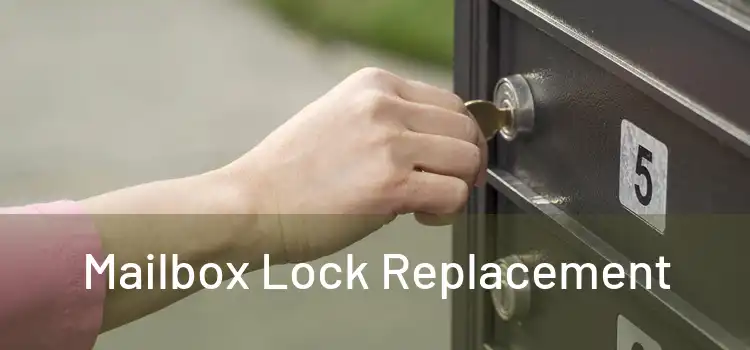  Mailbox Lock Replacement 